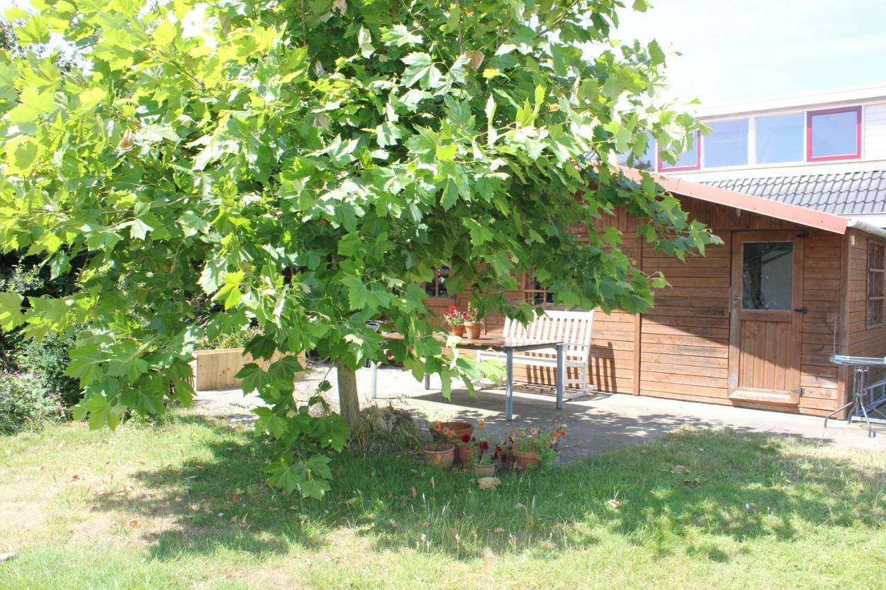 Bluesheep-Texel Bed & Breakfast Де Коох Екстериор снимка